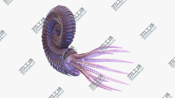 images/goods_img/20210312/Ammonite model/1.jpg